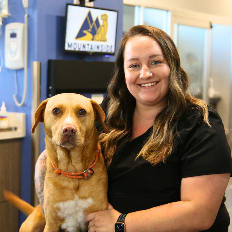 Meet The Veterinary Care Team - Mountainside Veterinary Hospital